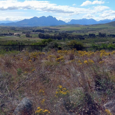 Visit and explore Perdekop Nature Reserve.