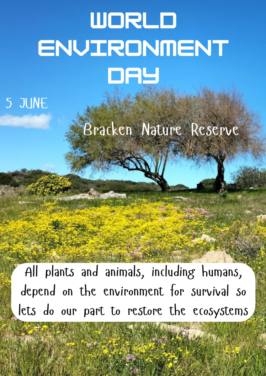 Events Bracken Nature Reserve events-bracken-nature-reserve